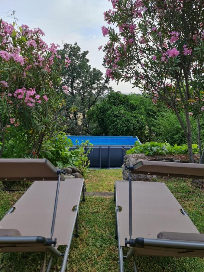 Casa Rural En Candeleda Con Piscina Y Un Maravilloso Jardin Exterior foto