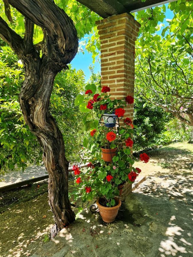Casa Rural En Candeleda Con Piscina Y Un Maravilloso Jardin Exterior foto