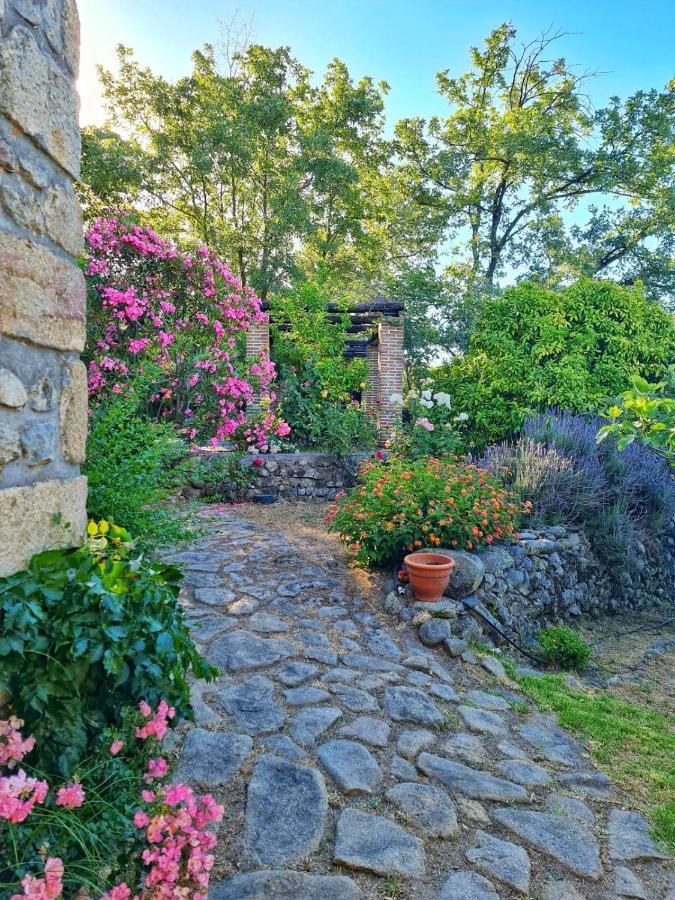 Casa Rural En Candeleda Con Piscina Y Un Maravilloso Jardin Exterior foto