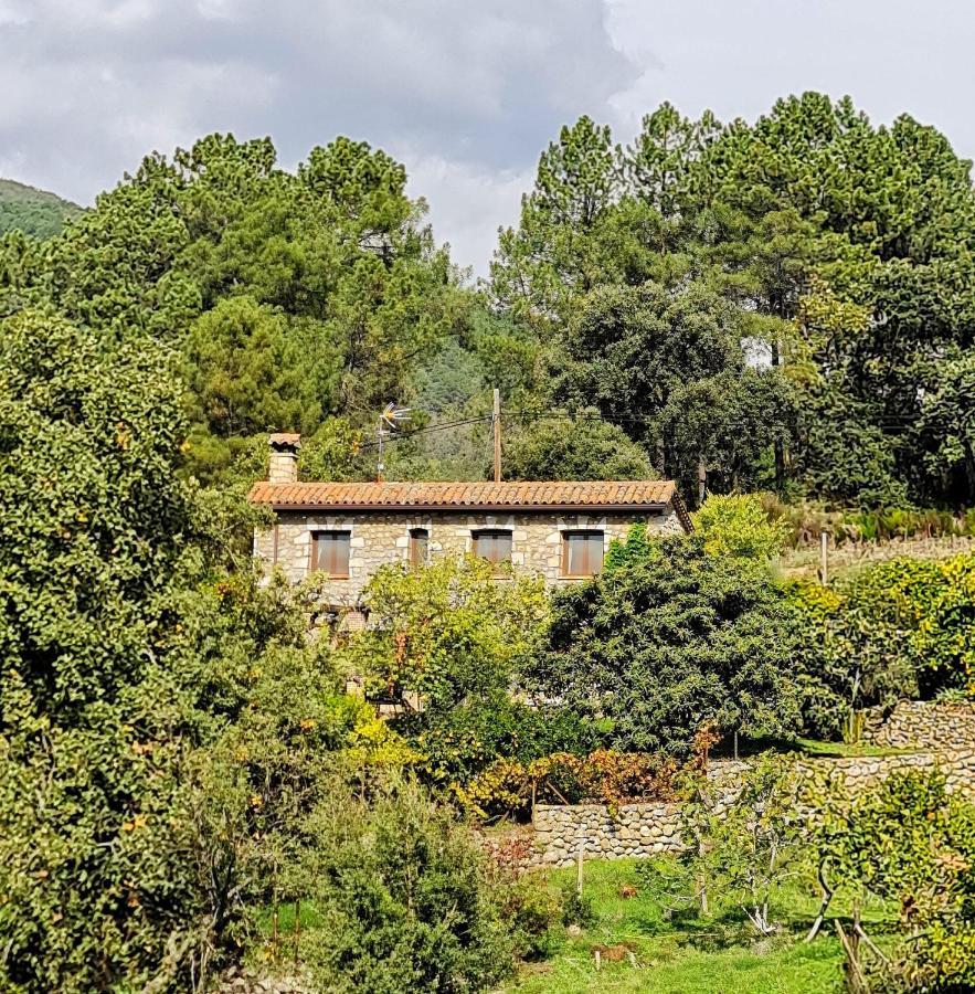 Casa Rural En Candeleda Con Piscina Y Un Maravilloso Jardin Exterior foto