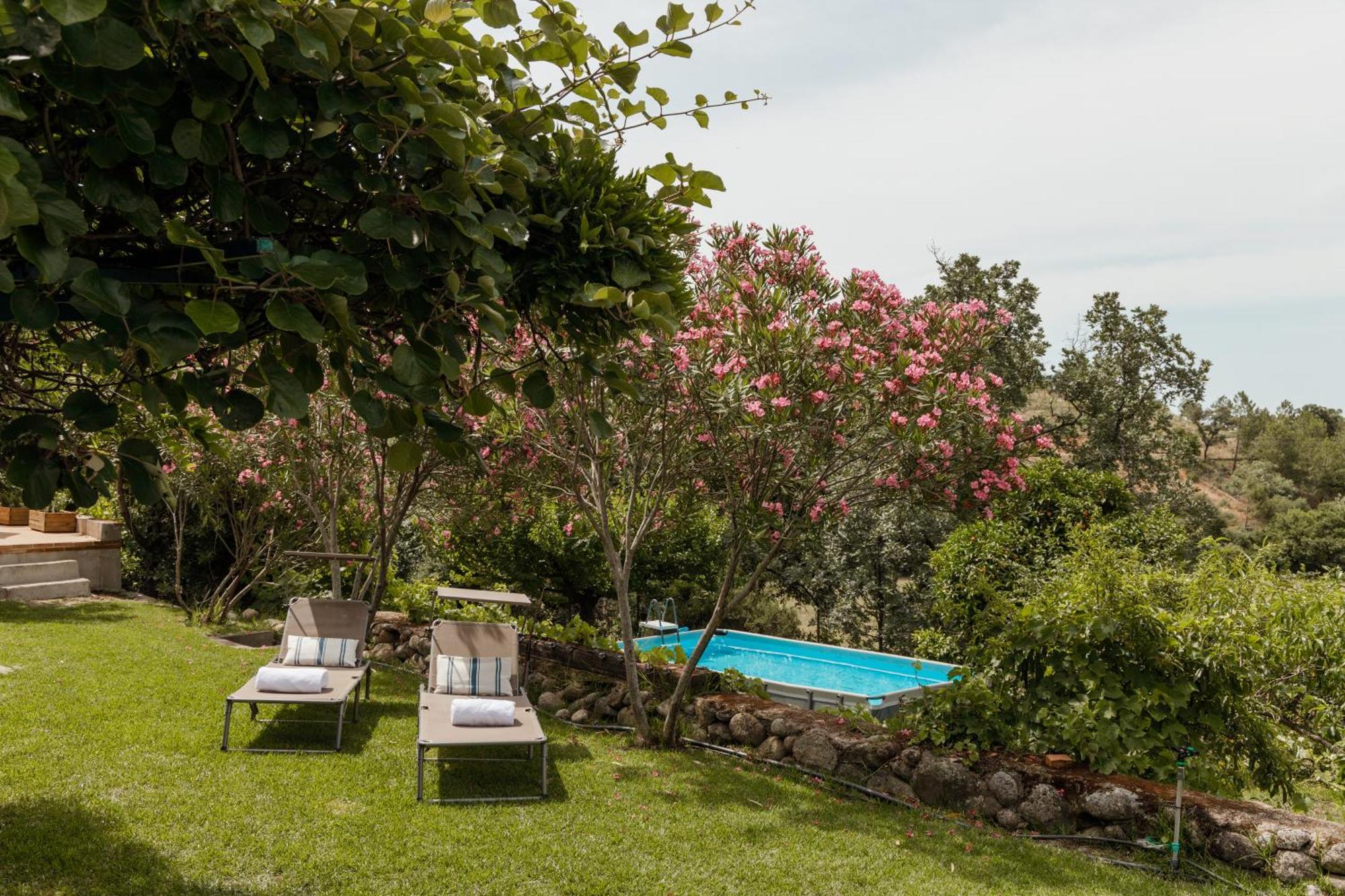 Casa Rural En Candeleda Con Piscina Y Un Maravilloso Jardin Exterior foto