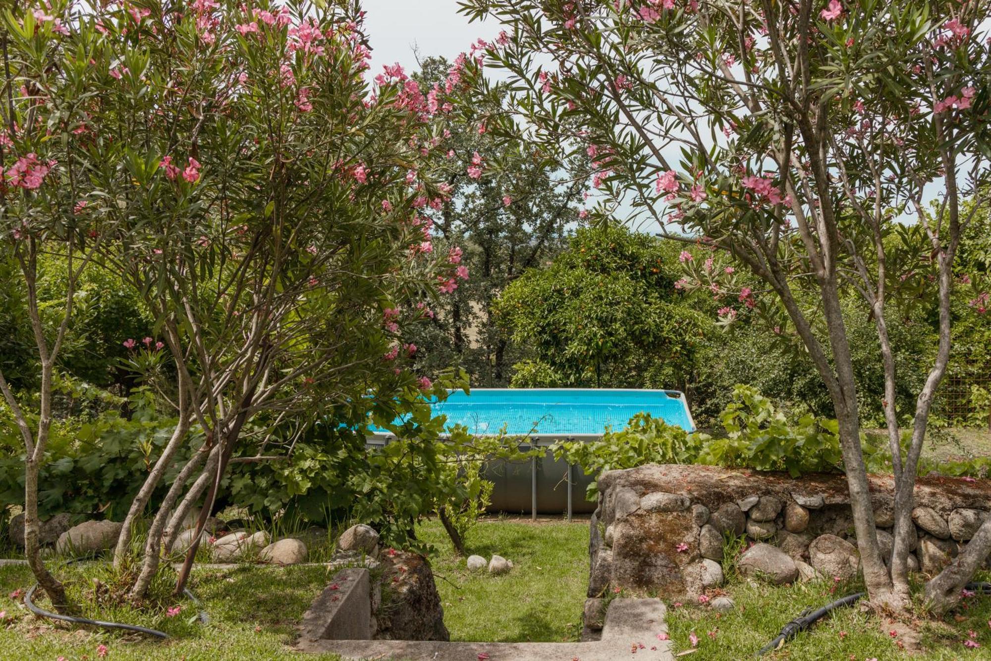 Casa Rural En Candeleda Con Piscina Y Un Maravilloso Jardin Exterior foto
