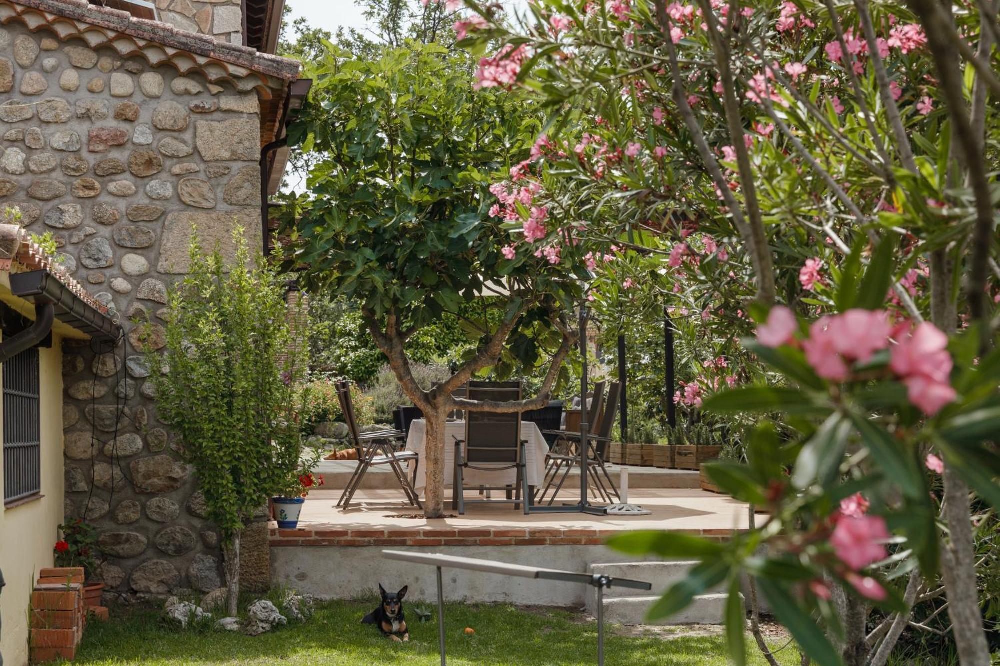 Casa Rural En Candeleda Con Piscina Y Un Maravilloso Jardin Exterior foto